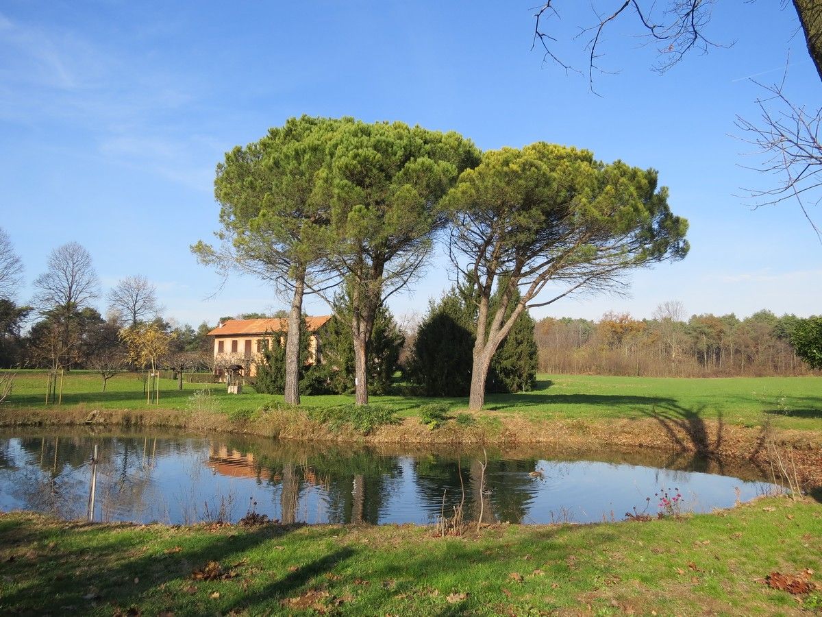 Boschi Maestosi E Cascine Del Parco Pineta - History Trek - Trekking ...